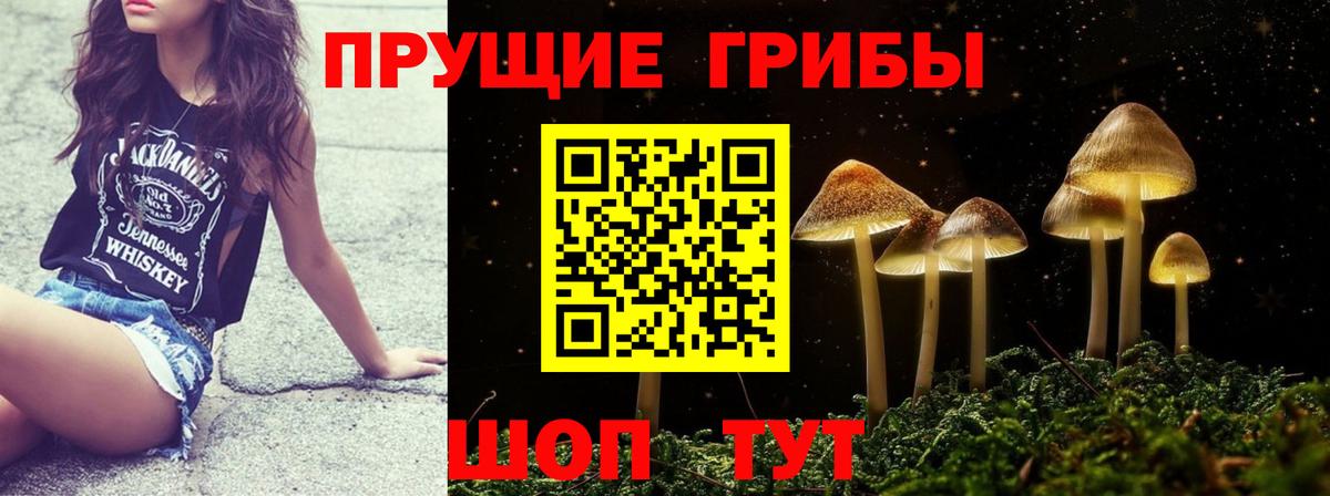Надым  Псилоцибиновые грибы мицелий  Вход с VPN 